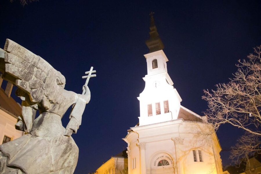 2 Hours Buda Castle Walking Tour - Walk with a Historian - What $49 gets you