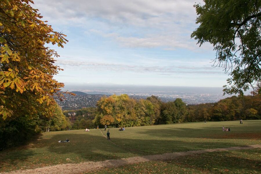 3Hour Outdoor Budapest Normafa Hike&History With a Historian - Walking Through the Buda Hills