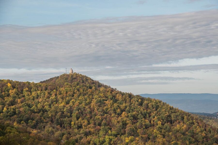 3Hour Outdoor Budapest Normafa Hike&History With a Historian - The Bus Ride to Normafa