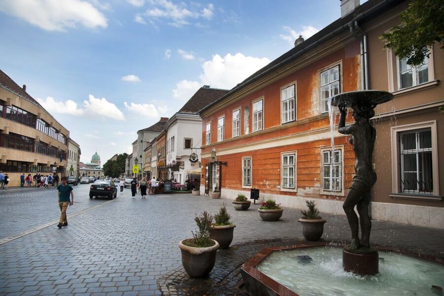 Budapest: Buda Castle District Walking Tour - Palace terraces, bridges, and the Danube