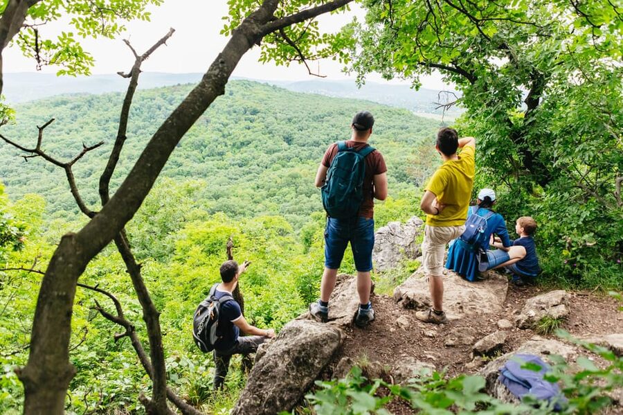 Budapest: Buda Hills Guided Hiking Tour with Optional Lunch - Why leave central Budapest for the Buda Hills