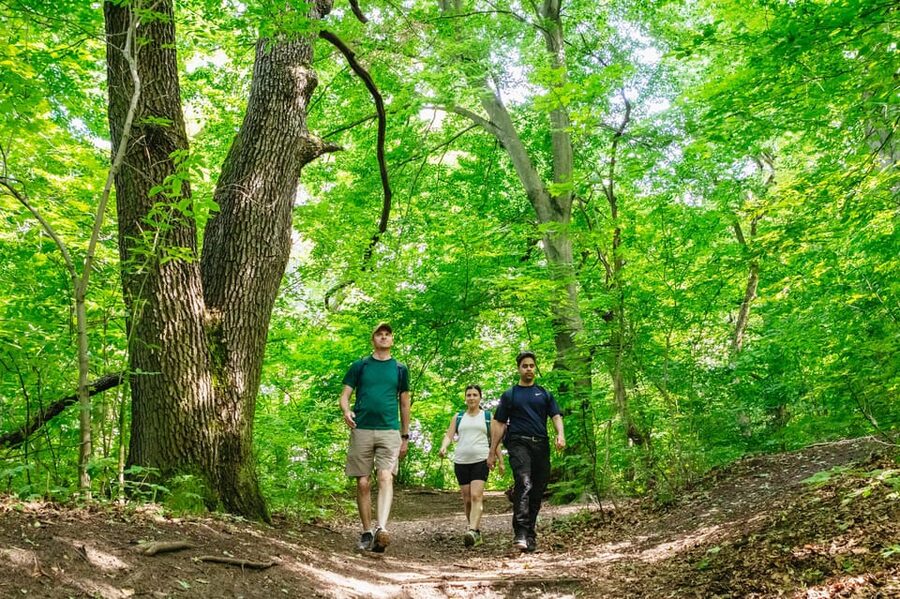 Budapest: Buda Hills Guided Hiking Tour with Optional Lunch - Meeting the guide and riding into the hills