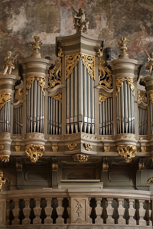 Budapest: Concert on the Oldest Working Organ in the City - Who will enjoy this concert most