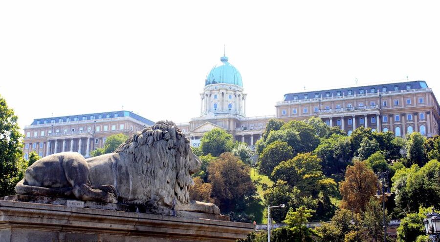 Budapest: Guided City Tour by E-Bike - Is the e-bike suitable for you?