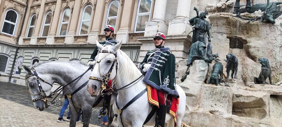 Budapest: Guided City Walking Tour in Buda and Pest - The public transport link to Buda