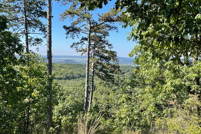 Budapest Hike - Picnic lunch with room for conversation