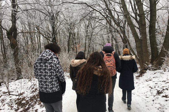 Budapest Hike - Forest paths close to the capital
