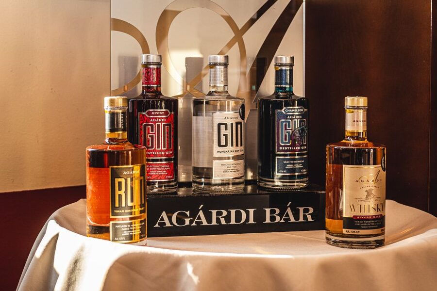 Budapest: Hungarian Whisky, Gin, and Pálinka Tasting - Inside Agardi Distillery