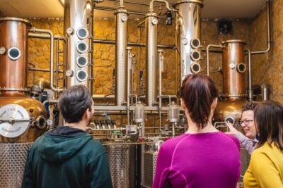 Hungarian Whisky, Gin, and Pálinka Tasting