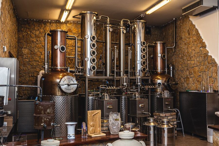 Budapest: Hungarian Whisky, Gin, and Pálinka Tasting - Miki’s role makes the difference