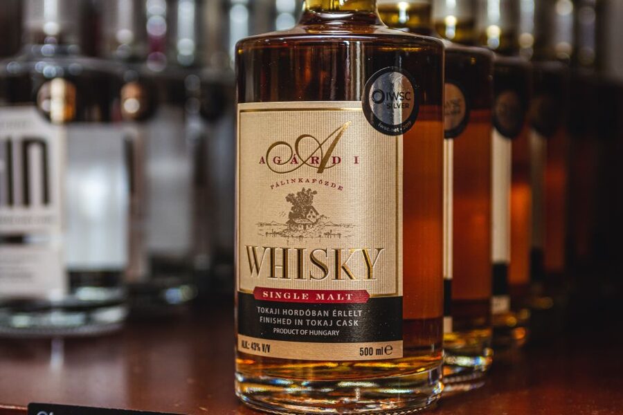Budapest: Hungarian Whisky, Gin, and Pálinka Tasting - Practical details that shape the day