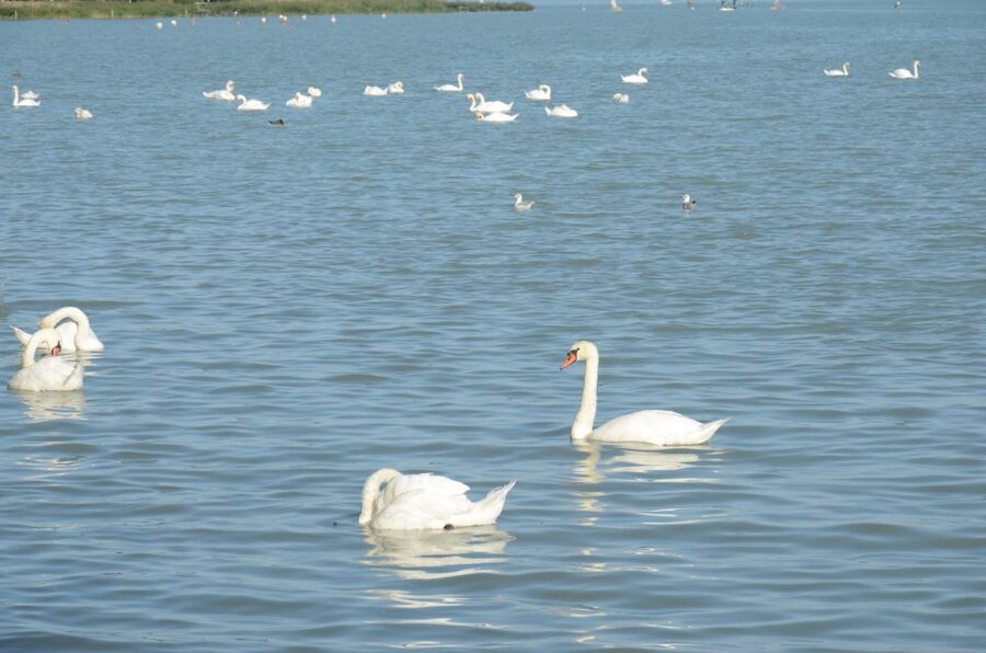 Budapest: Lake Balaton and Herend Full-Day Private Tour - What the private format really adds