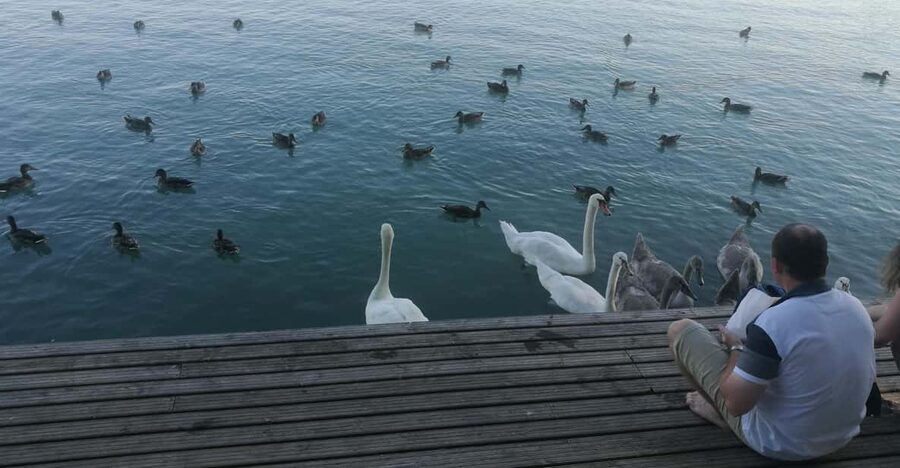Budapest: Lake Balaton & Herend Porcelain Private Day Tour - Tihany Peninsula and its 1,000-year-old abbey