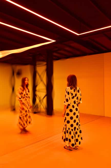 Budapest: Light Art Museum - Immersive New Media Experience - Who will enjoy this museum most?