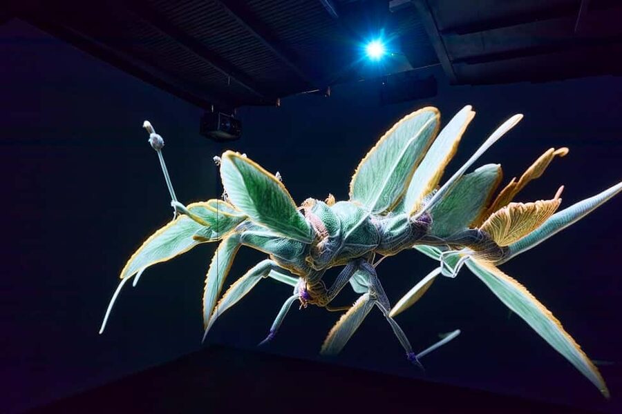 Budapest: Light Art Museum - Immersive New Media Experience - Should you book the Light Art Museum?