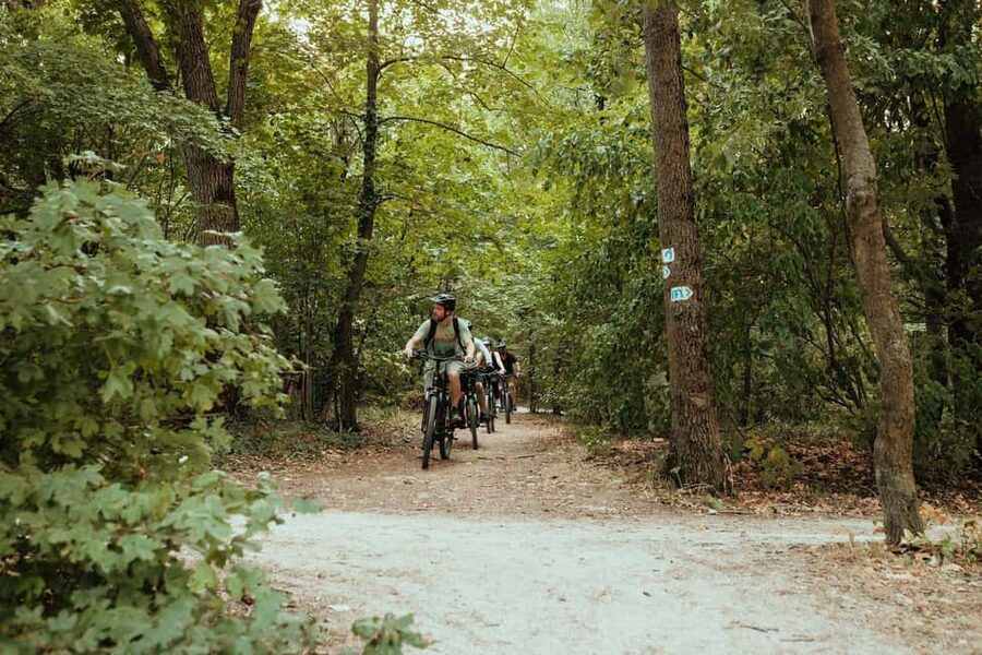 Budapest Peaks: Off-Road eBike Tour - What the Gepida e-bike changes