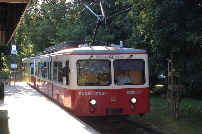 Budapest: Private Adventure Sightseeing Bicycle Tour - The forest descent toward Castle Hill