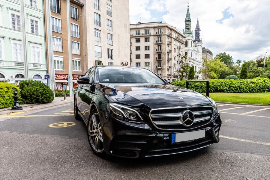 Budapest: Private Luxury Sightseeing Tour - What the guide adds to the experience