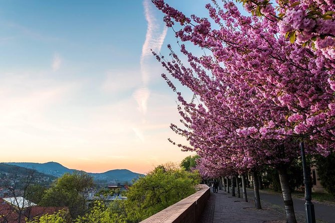 Budapest Private Walking Tour - Why this four-hour route works so well