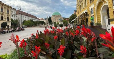 Private Walking Tour with a Local Guide