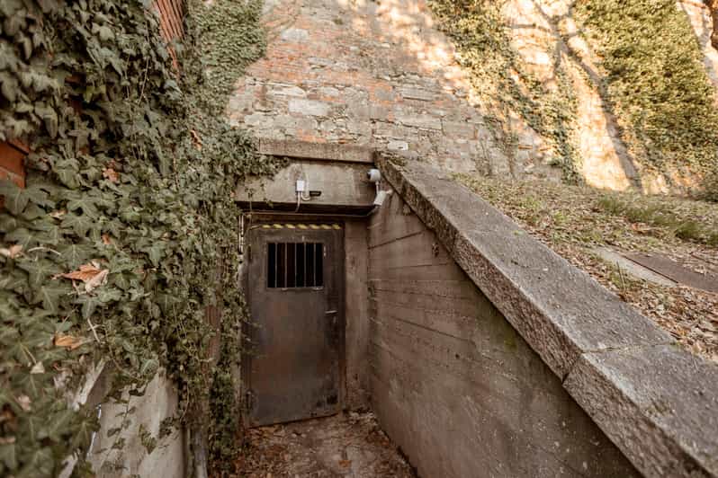 Budapest: The WWII Siege of Buda Castle & Bomb Shelter Tour - Price, timing, and what the 90 minutes deliver
