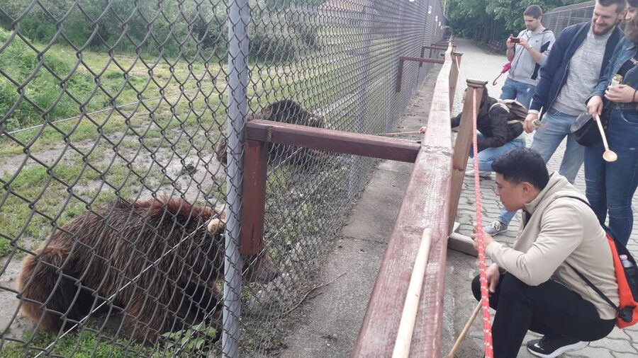 Budapest: Transport & Guided Tour of Bear and Wolf Sanctuary - Key points at a glance