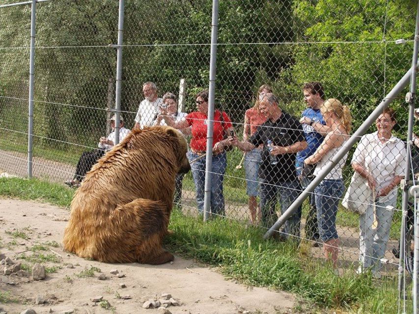 Budapest: Transport & Guided Tour of Bear and Wolf Sanctuary - From Batthyány tér to the Hungarian countryside