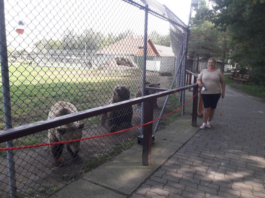 Budapest: Transport & Guided Tour of Bear and Wolf Sanctuary - Timing, comfort, and practical advice