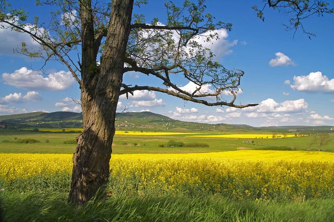 Budapest-Vienna One-Way Sightseeing Transfer - Szentendre’s narrow lanes and Serbian-Hungarian character