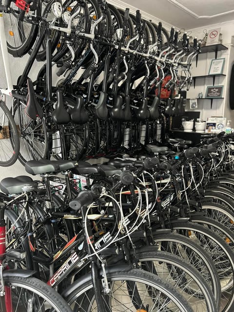Choose a bicycle and make your own tour in Budapest-24 hrs - Cancellation and planning flexibility