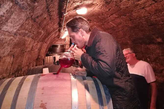 Countryside Half-day Gastro-Wine Tour from Budapest Meal & pickup - Who should book this experience?