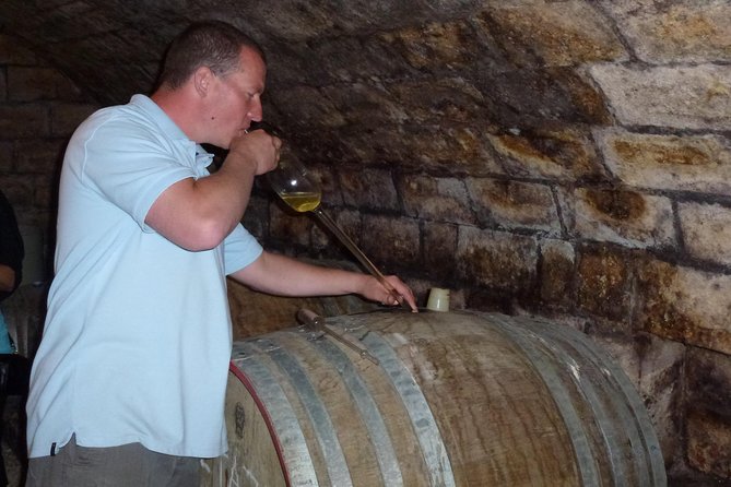 Countryside Half-day Gastro-Wine Tour from Budapest Meal & pickup - Picking the right tour option