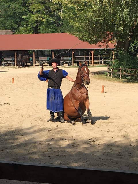 Countryside ranch, horse show & lunch - Practical details before you reserve