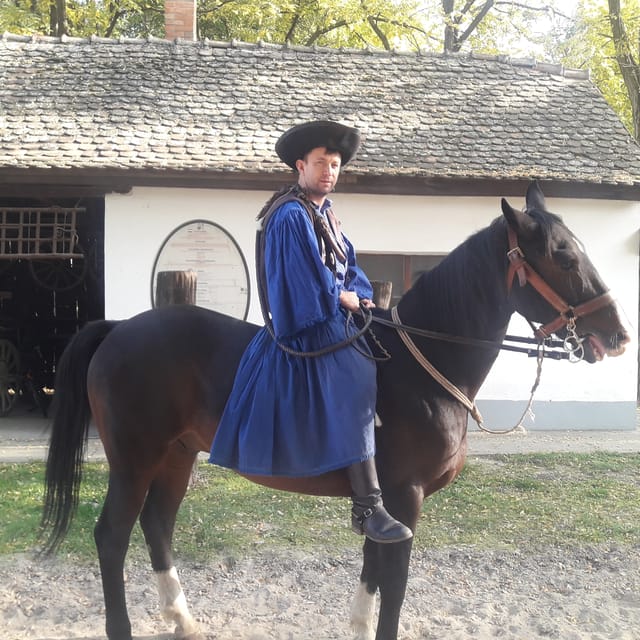 Countryside ranch, horse show & lunch - A 15-minute carriage ride around the farm