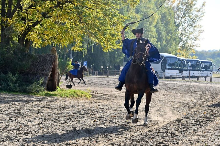 Countryside ranch, horse show & lunch - What the five-hour schedule feels like