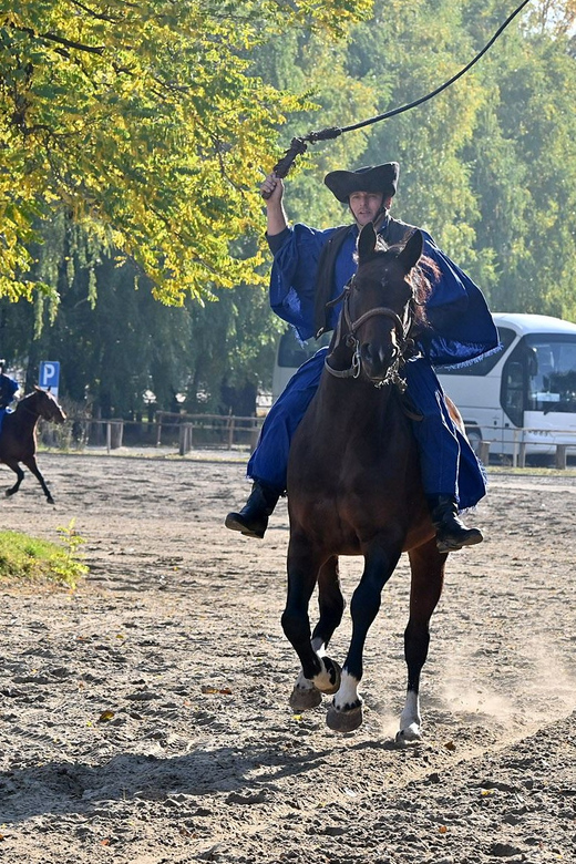 Countryside ranch, horse show & lunch - Who should book this ranch experience