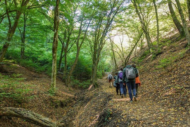 Danube Bend Hiking and Kayaking - From hiking boots to canoe or kayak