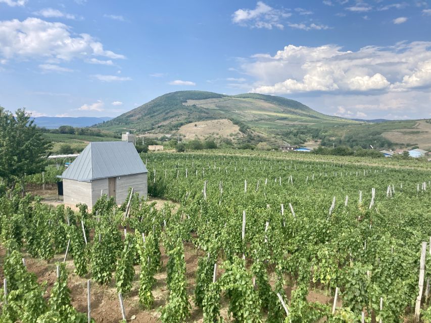 Eger: Countryside, Culture, and Wine Private Tour - Lunch and free time in the old town