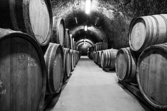 Eger Private Full-Day Wine Tasting Tour and Sightseeing from Budapest - Who should book this Eger tour?
