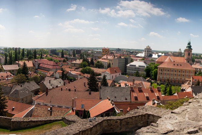 Eger Private Full-Day Wine Tasting Tour and Sightseeing from Budapest - My call: a strong private day, with two details to confirm