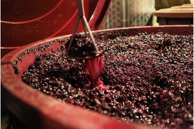 Etyek Private Half-Day Wine Tasting Tour from Budapest - What you may learn about Hungarian wine