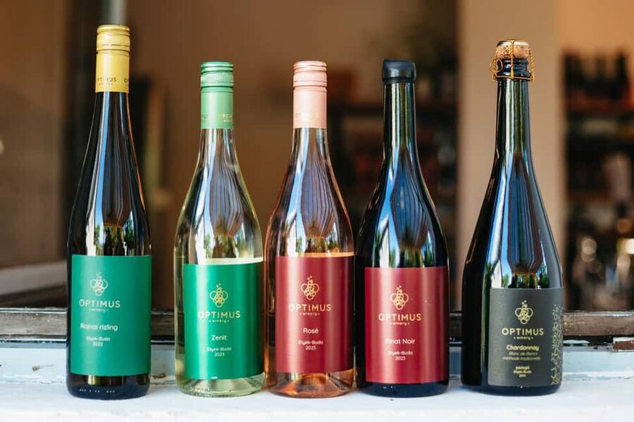 From Budapest: Etyek Wine Tasting Tour with 3-Course Meal - Timing, Pickup, and Pace