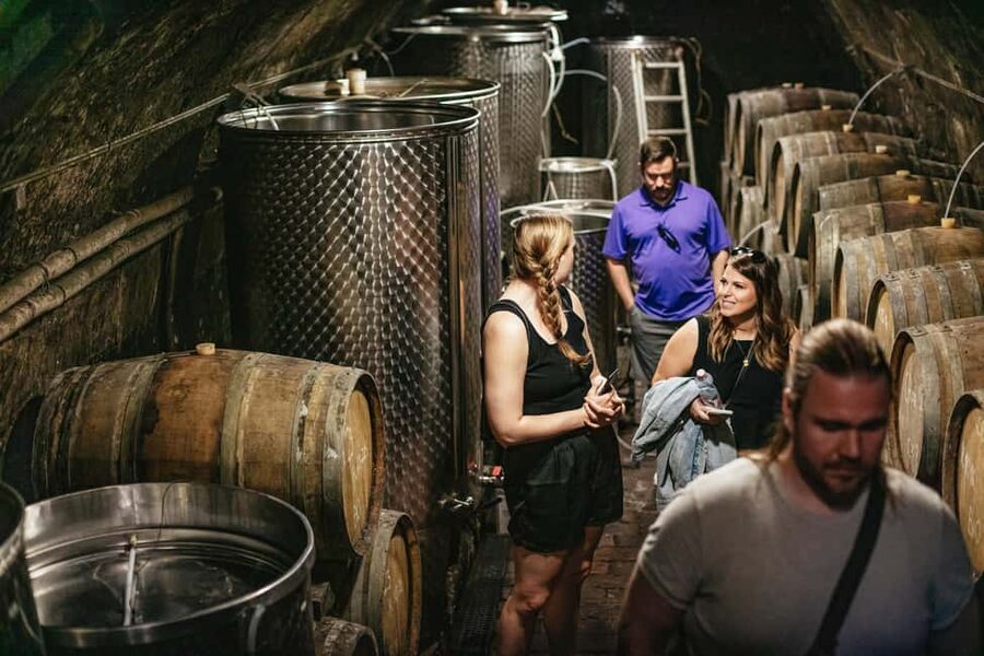 From Budapest: Etyek Wine Tasting Tour with 3-Course Meal - Who Will Like This Tour Most