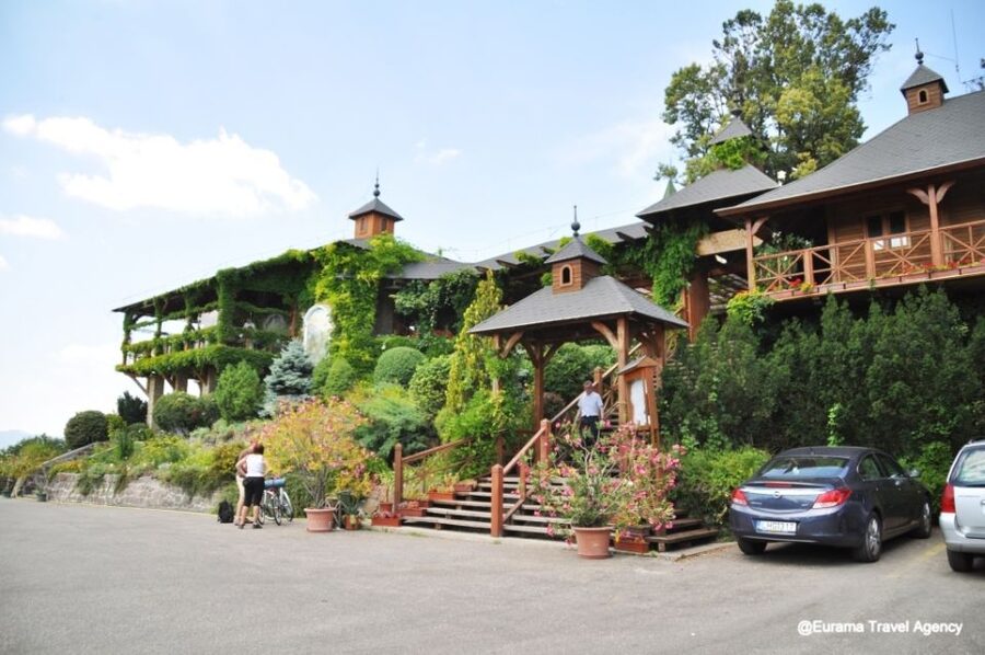From Budapest: Full-Day Danube Bend Tour with Lunch - Guides, Coaches, and the Pace of the Day