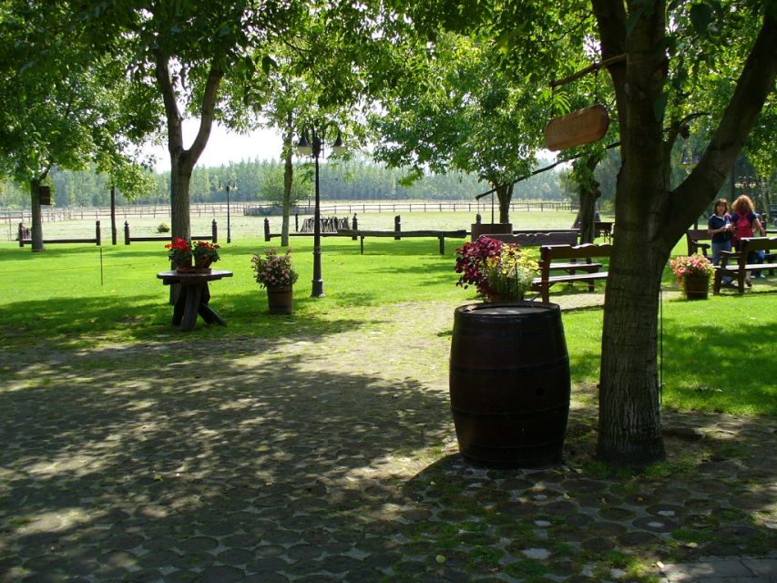 From Budapest: Full-Day Puszta Tour with Lunch and Show - Key points at a glance