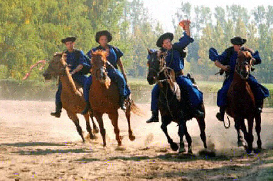 From Budapest: Full-Day Puszta Tour with Lunch and Show - Why leave Budapest for the Puszta?
