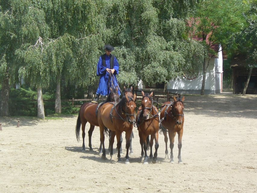 From Budapest: Full-Day Puszta Tour with Lunch and Show - A horse-drawn carriage ride across the ranch