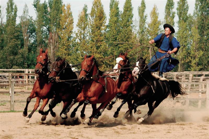 From Budapest: Full-Day Puszta Tour with Lunch and Show - The 90-minute ride from Budapest