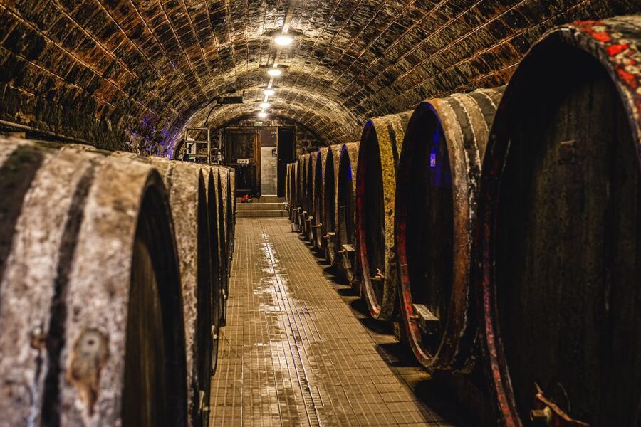 From Budapest: Mátra Hills Wine Tour - Who will enjoy this tour most