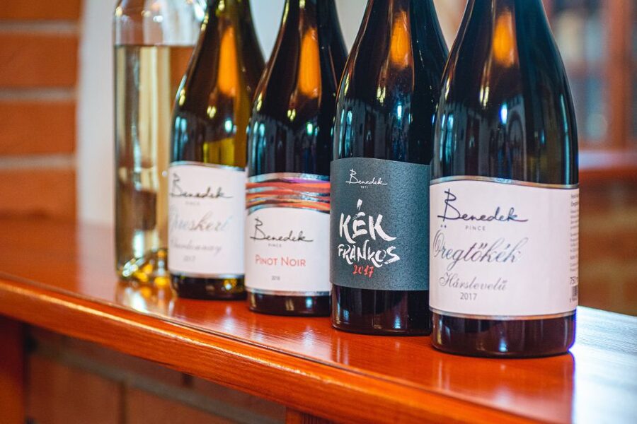 From Budapest: Mátra Hills Wine Tour - The ride from Budapest sets the scene
